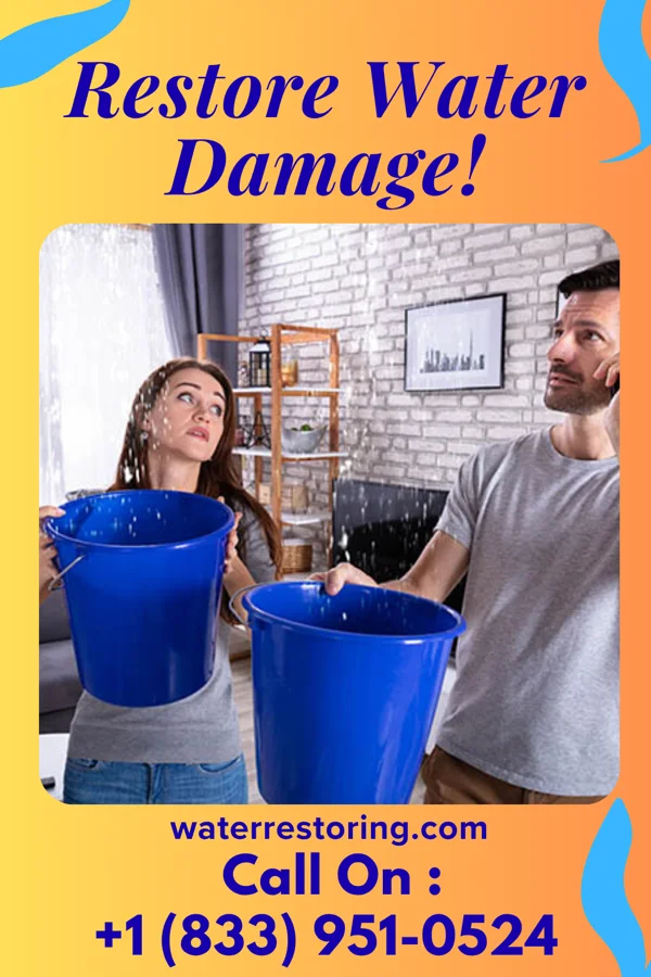 water restoration Western Water Removal Solutions Derma
