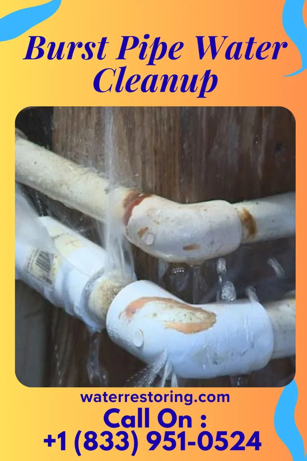 Burst Pipe Water Cleanup in Derma, MS